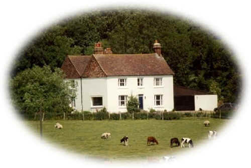 House.jpg (73994 bytes)