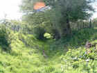 bridlepath02.jpg (348651 bytes)